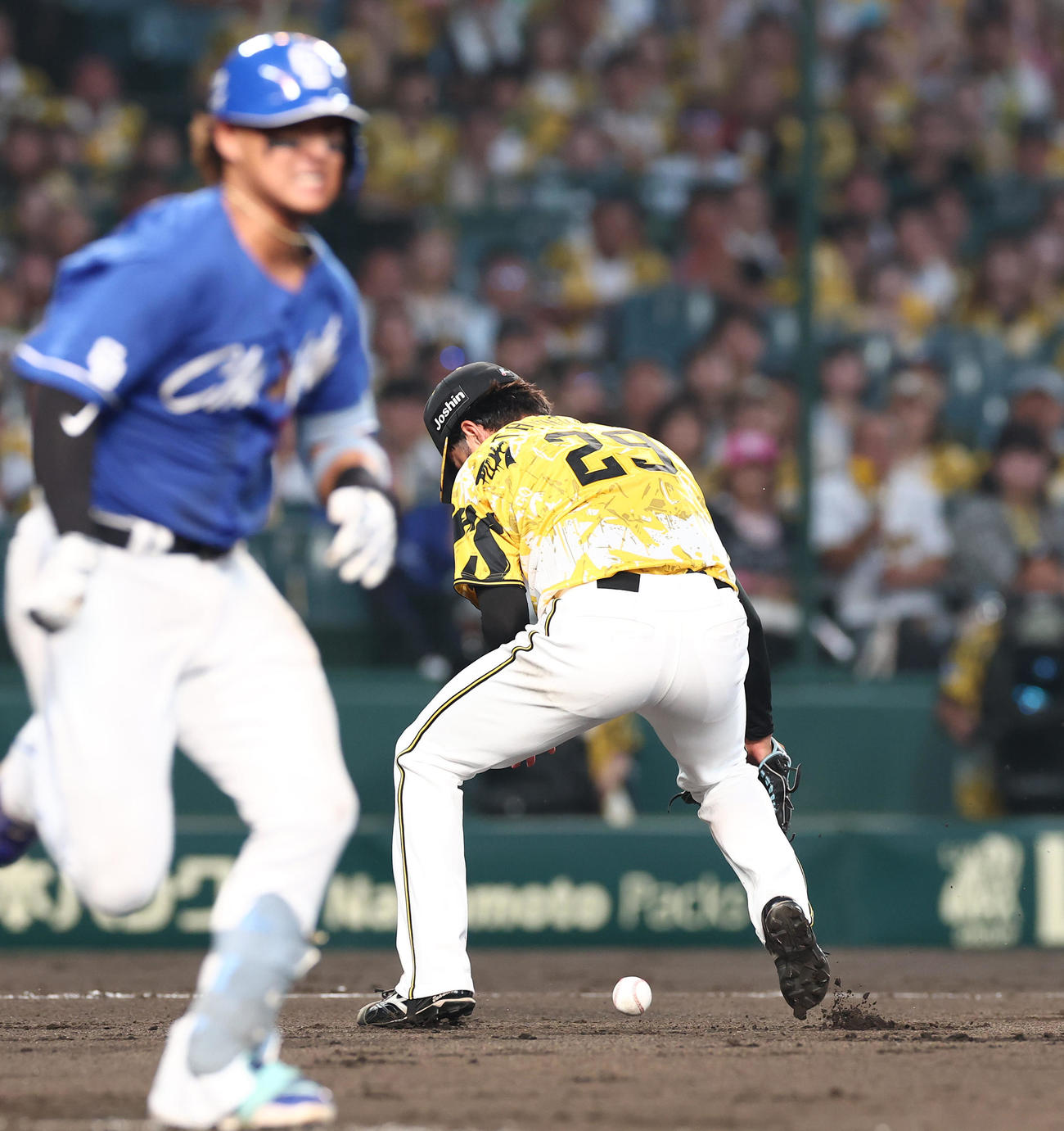 阪神対中日　4回表中日1死一、三塁、高橋は佐藤のバントをファンブルする（撮影・上田博志）