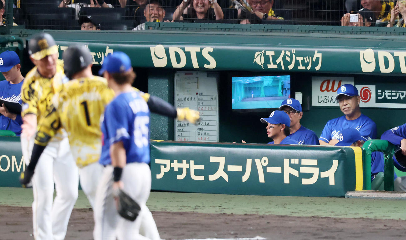 阪神対中日　7回裏阪神2死、ベンチの井上監督は左越えソロ本塁打を放った森下を見つめる（撮影・加藤哉）