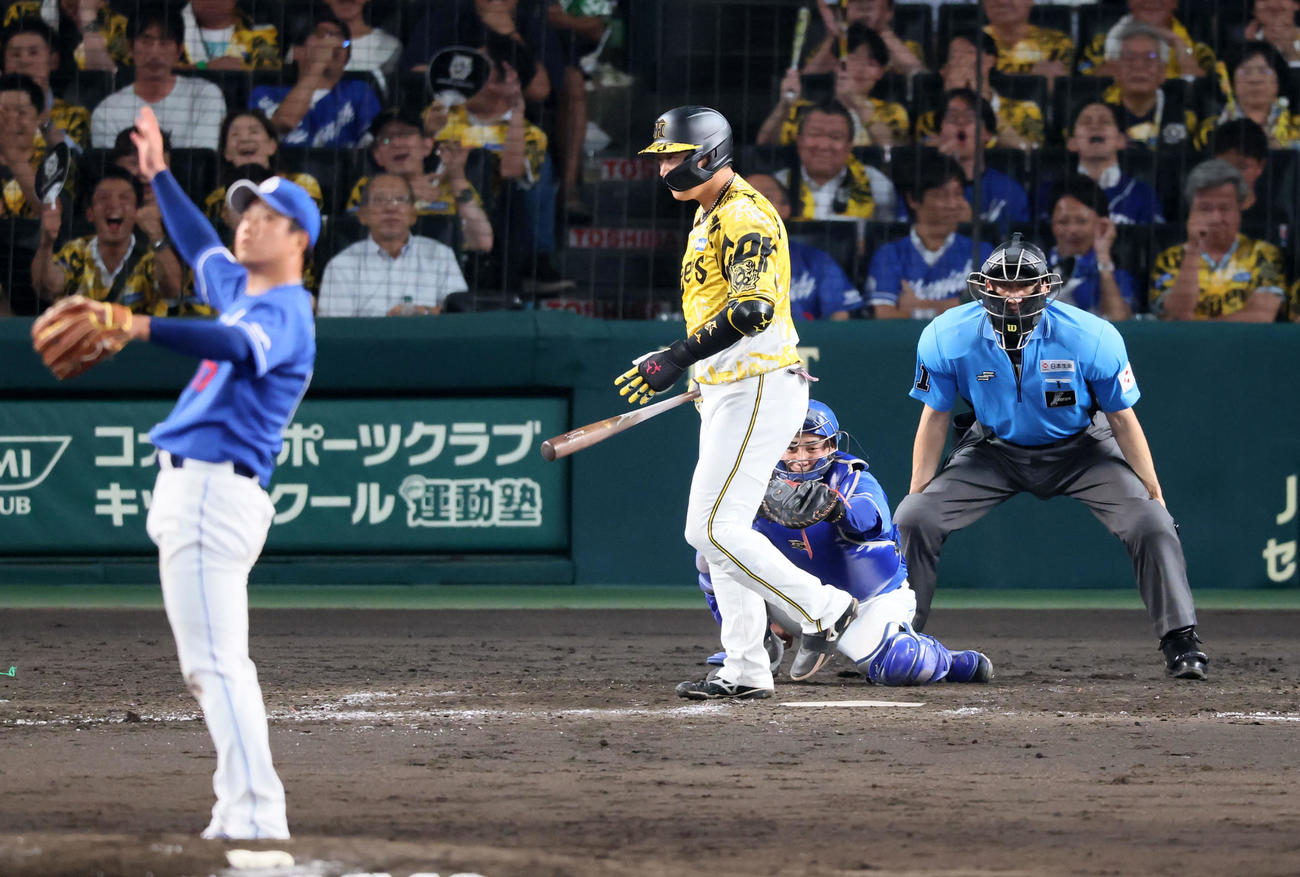 阪神対中日　5回裏阪神2死一、二塁、四球を選ぶ大山。投手柳（撮影・加藤哉）