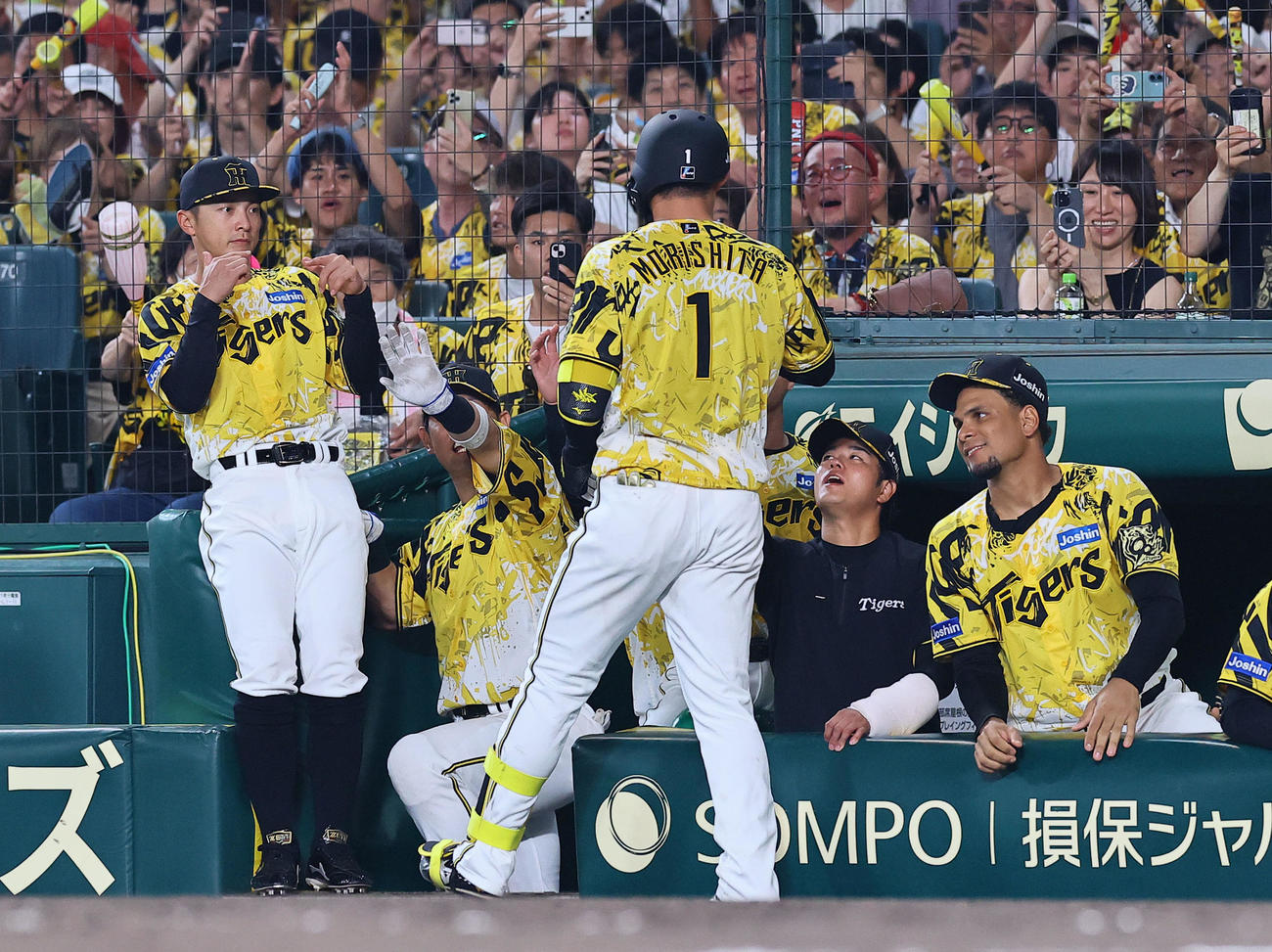 阪神対中日　7回裏阪神2死、同点本塁打を放った森下を出迎える高橋（右から2人目）（撮影・藤尾明華）