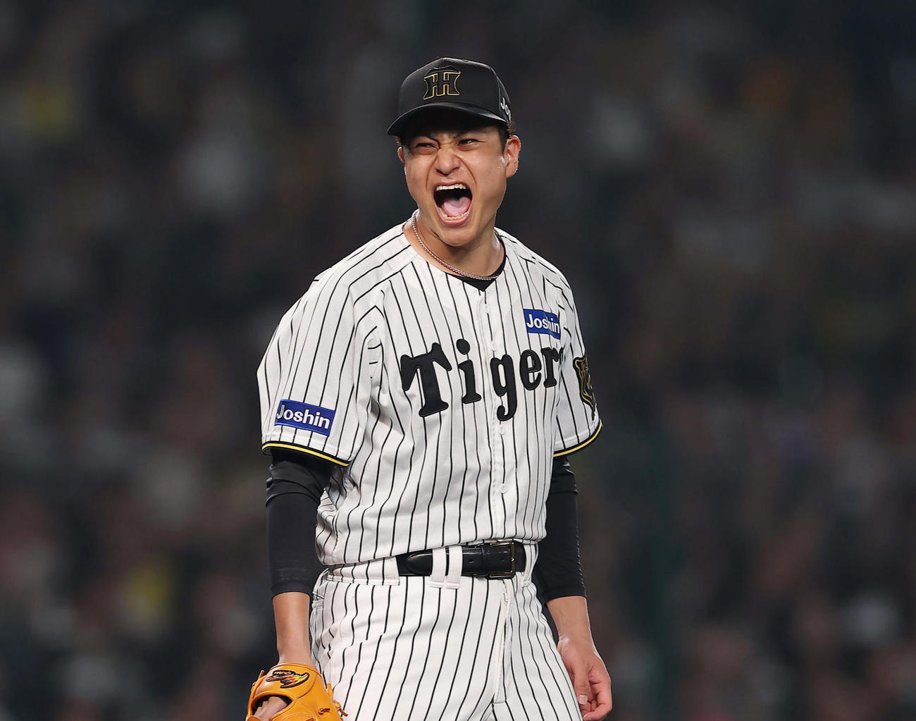 阪神大竹耕太郎