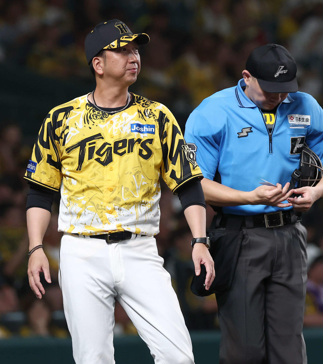 阪神対中日　選手交代を告げる藤川監督（撮影・上田博志）