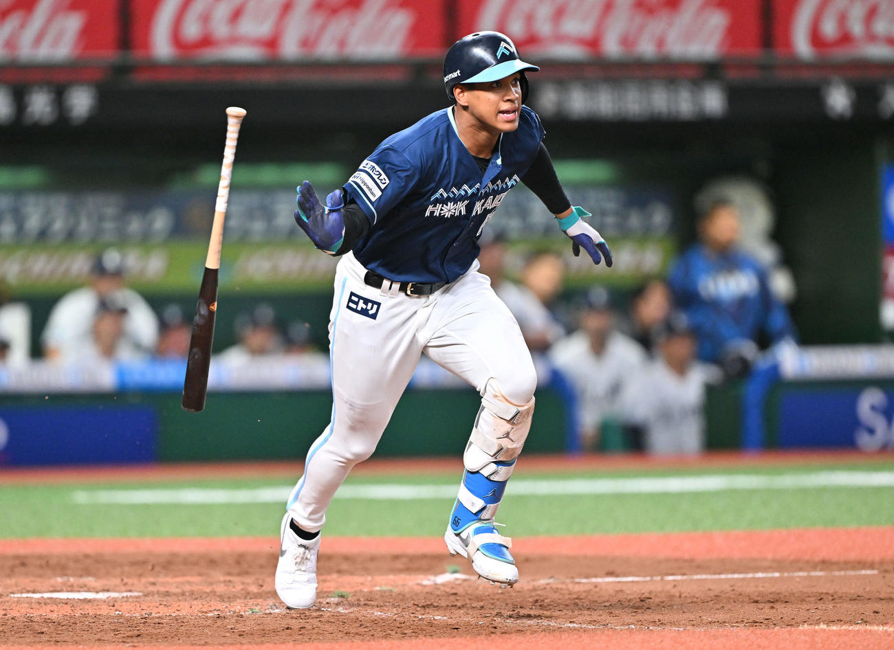 西武対日本ハム　5回表日本ハム1死三塁、万波は右翼に適時打を放つ（撮影・滝沢徹郎）