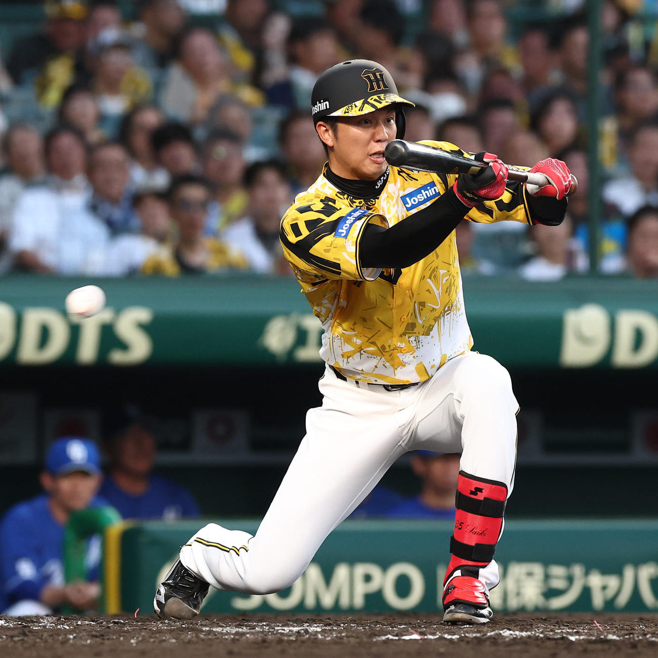 阪神対中日　3回裏阪神無死一塁、送りバントを失敗する才木（撮影・上田博志）