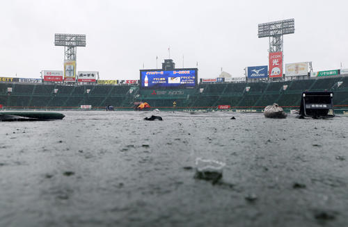 阪神】雨降りやまず早々に中止発表 4度の中止はすべて甲子園、中日戦