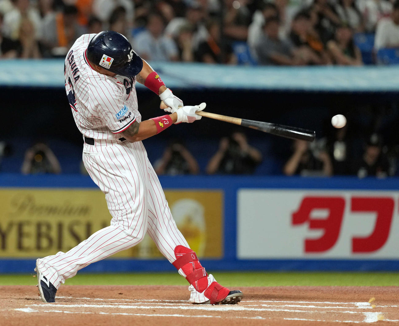 ヤクルト対巨人　6回裏ヤクルト無死二塁、左前に適時打を放つオスナ（撮影・たえ見朱実）