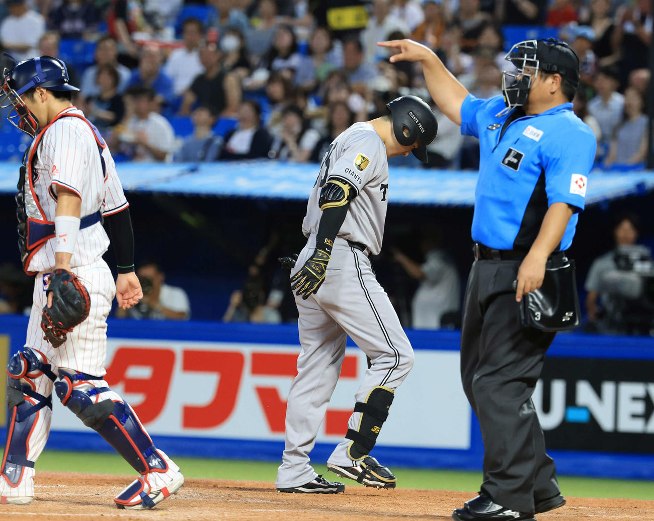 ヤクルト対巨人　3回表巨人無死一、二塁、泉口はスリーバント失敗してがっくり（撮影・浅見桂子）