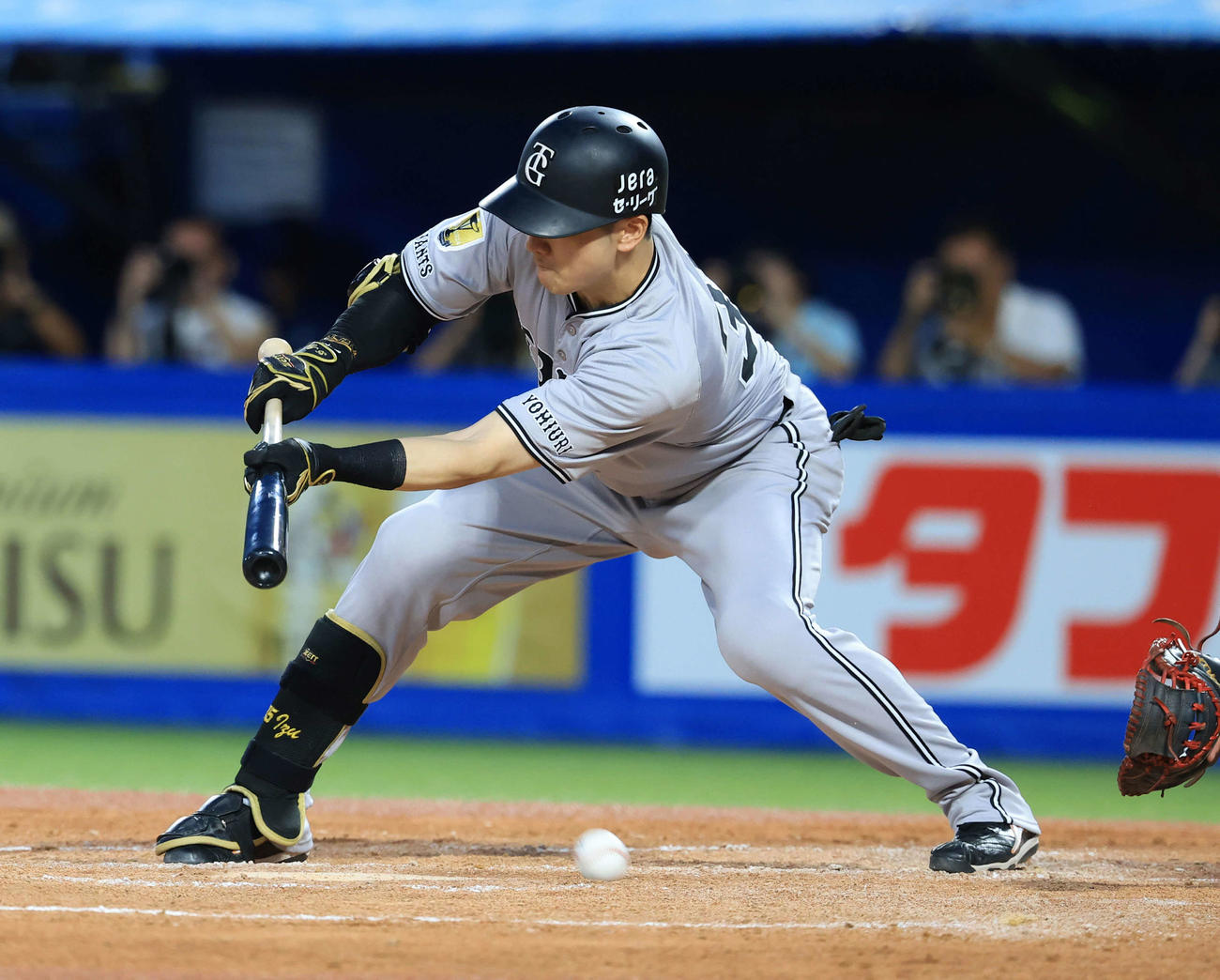 ヤクルト対巨人　3回表巨人無死一、二塁、泉口はスリーバント失敗する（撮影・浅見桂子）