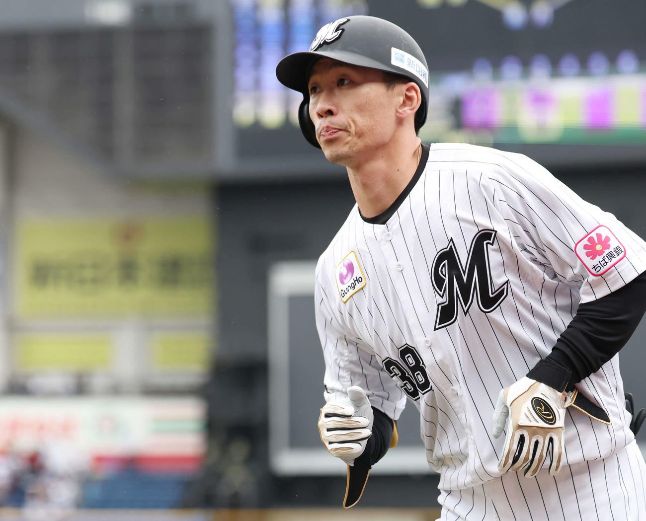 ロッテ高部（2025年4月2日撮影）