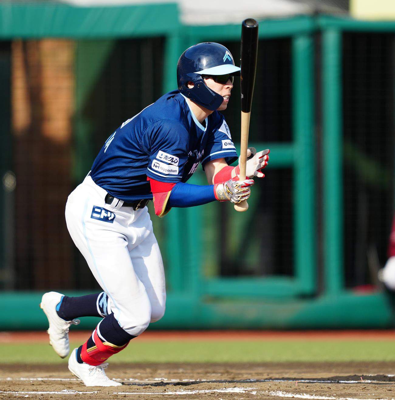 楽天対日本ハム　6回表日本ハム2死満塁、右前適時打を放つ五十幡（撮影・鈴木みどり）