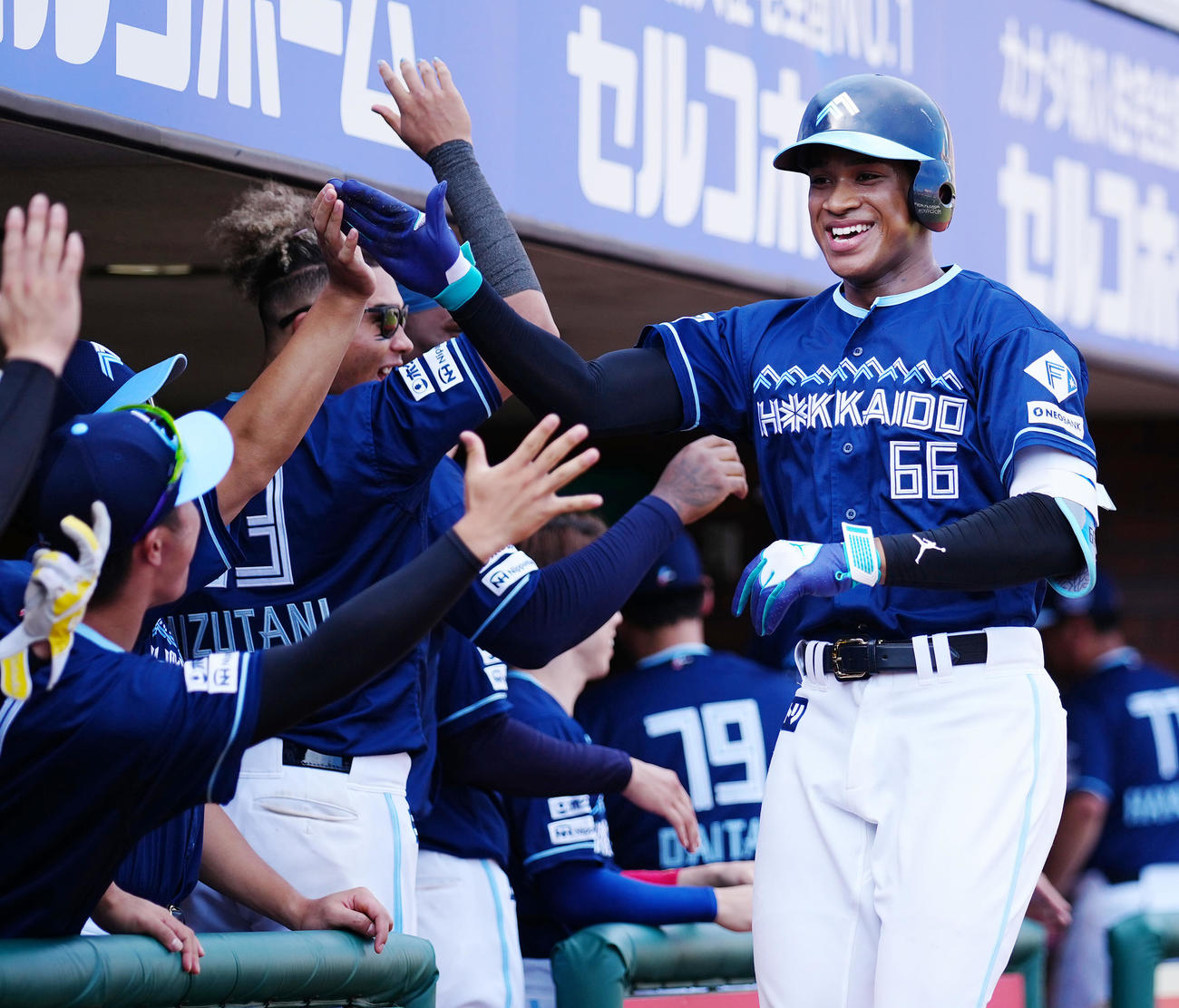 楽天対日本ハム　6回表日本ハム1死、左越えソロ本塁打を放った万波はナインと笑顔でハイタッチ（撮影・鈴木みどり）