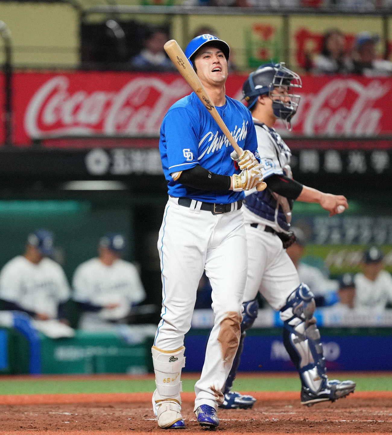 板山祐太郎＝25年6月