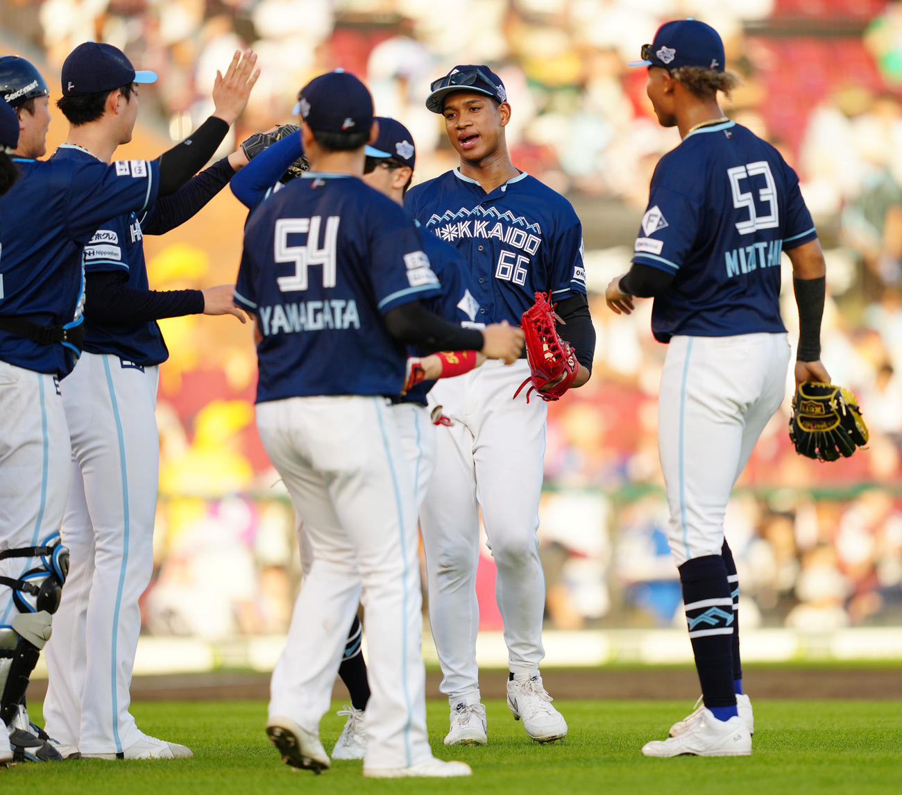 楽天対日本ハム　楽天に勝利し、タッチを交わす万波（中央）ら日本ハムナイン（撮影・鈴木みどり）