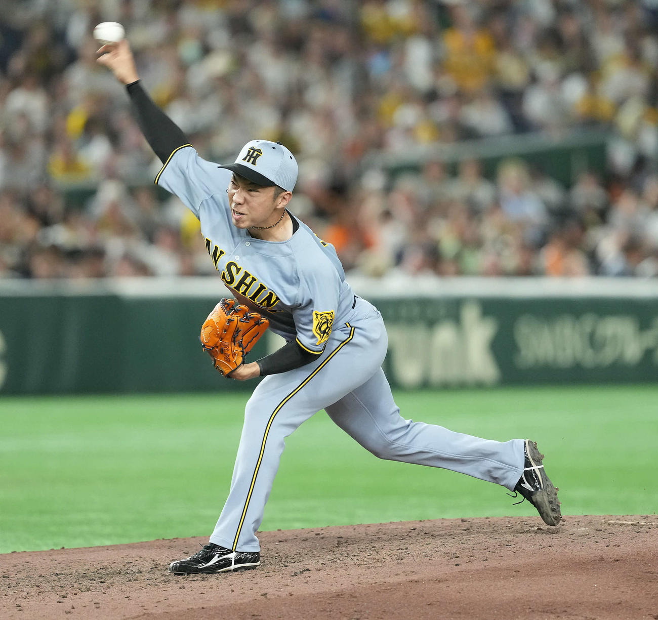 巨人対阪神　8回からマウンドに上がった阪神石井（撮影・たえ見朱実）