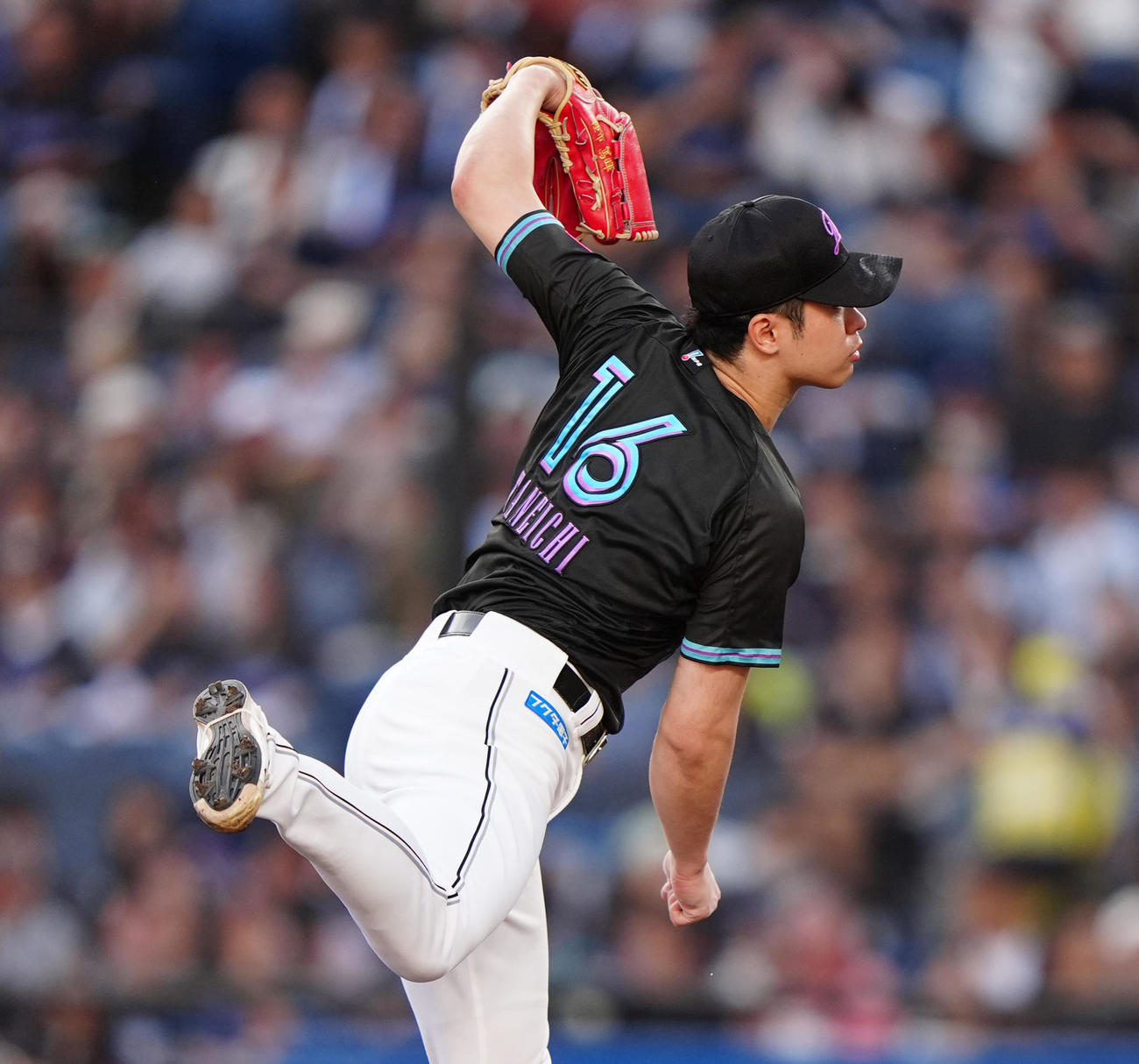 ロッテ対オリックス　ロッテ先発の種市（撮影・清水貴仁）