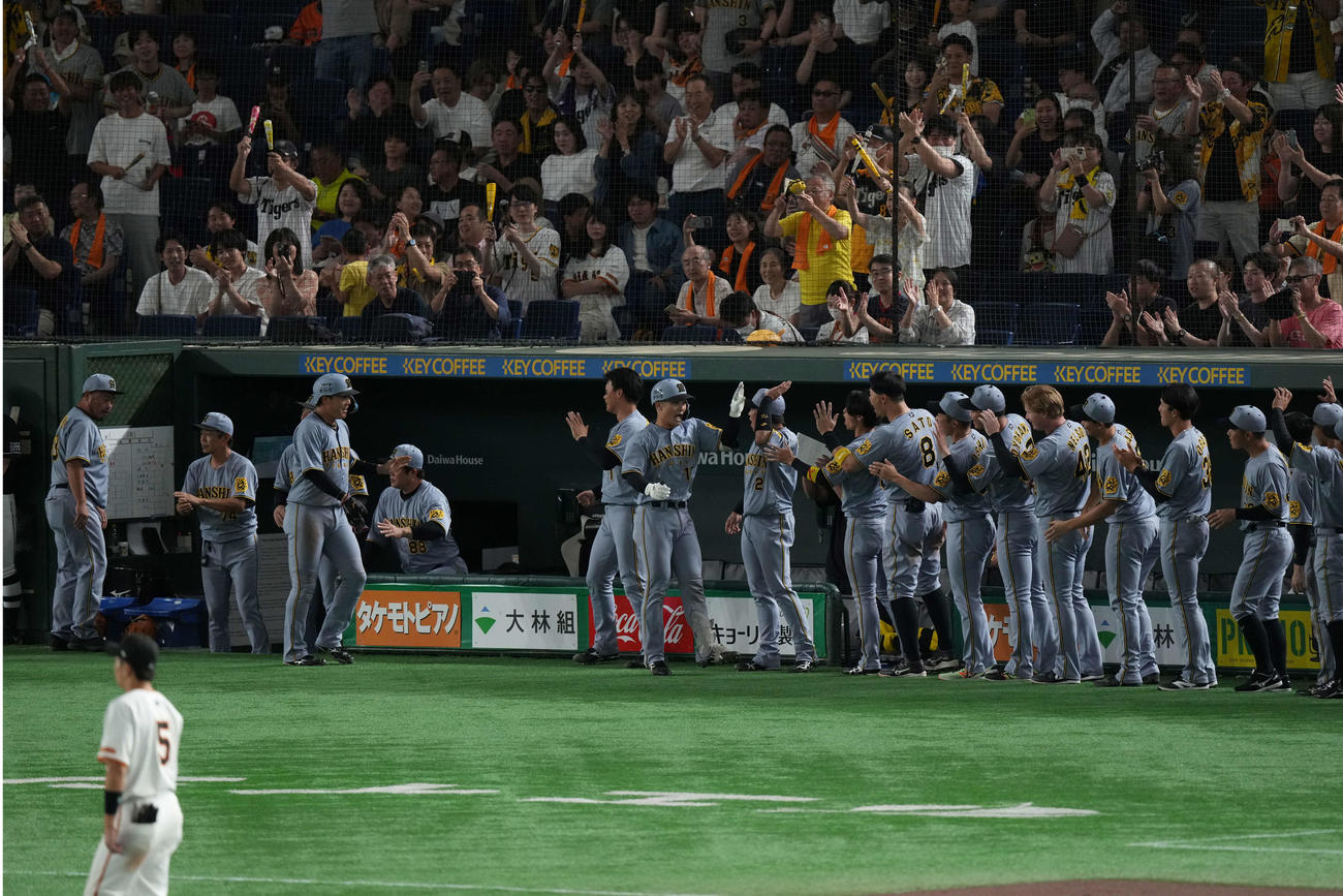 巨人対阪神　11回表阪神1死一塁、2ラン本塁打を放った坂本を出迎える藤川監督ら（撮影・井上学）