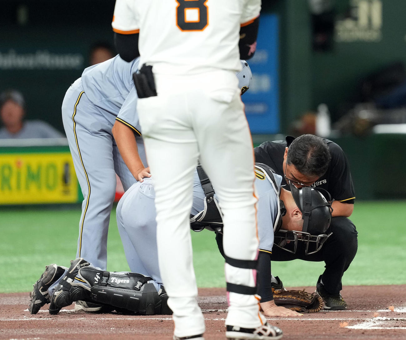 巨人対阪神　1回裏巨人無死、丸佳浩のファウルチップが坂本の膝にあたる（撮影・たえ見朱実）