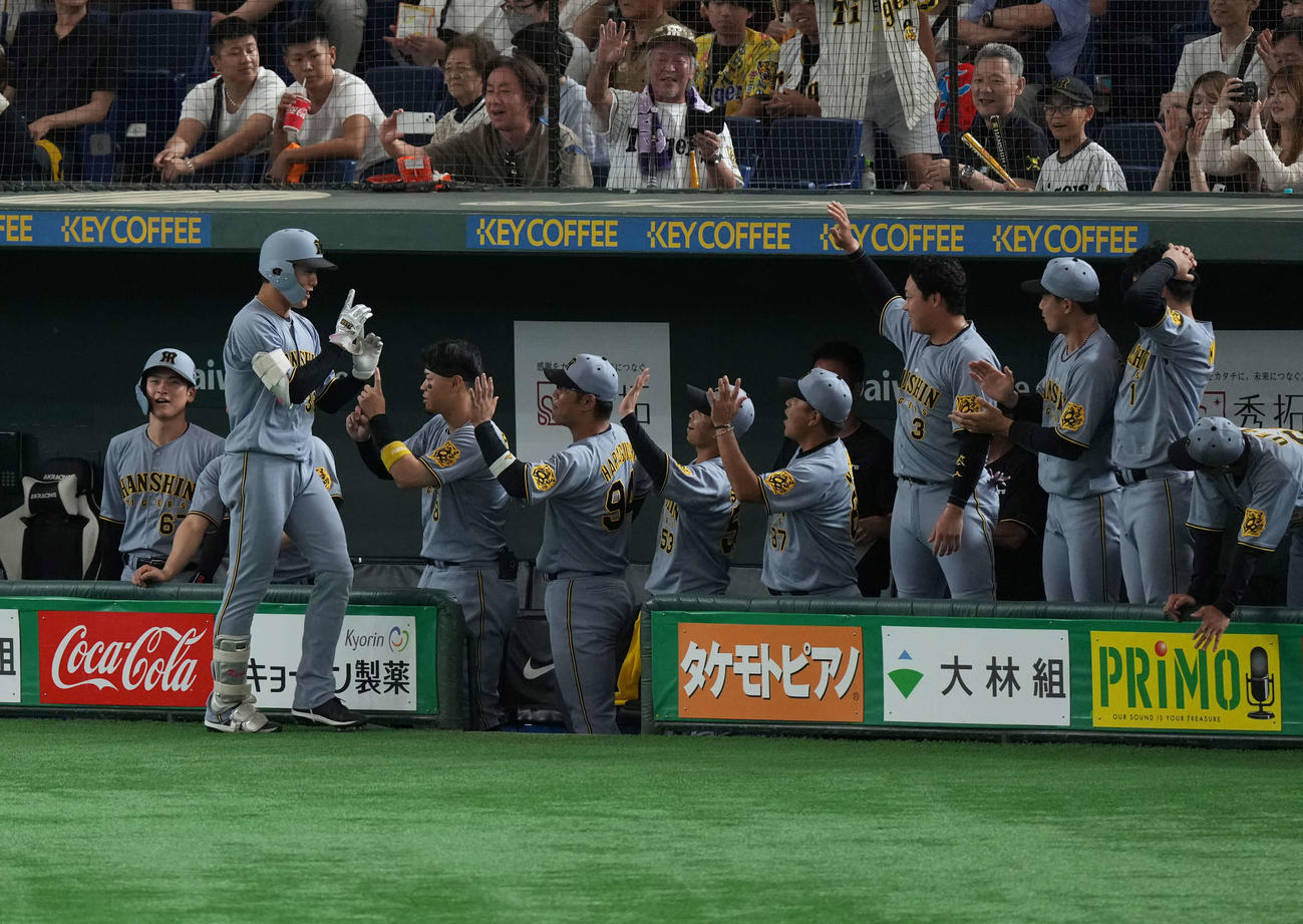 巨人対阪神　2回表阪神2死、右越え本塁打を放ちベンチの出迎えを受ける小幡（撮影・井上学）