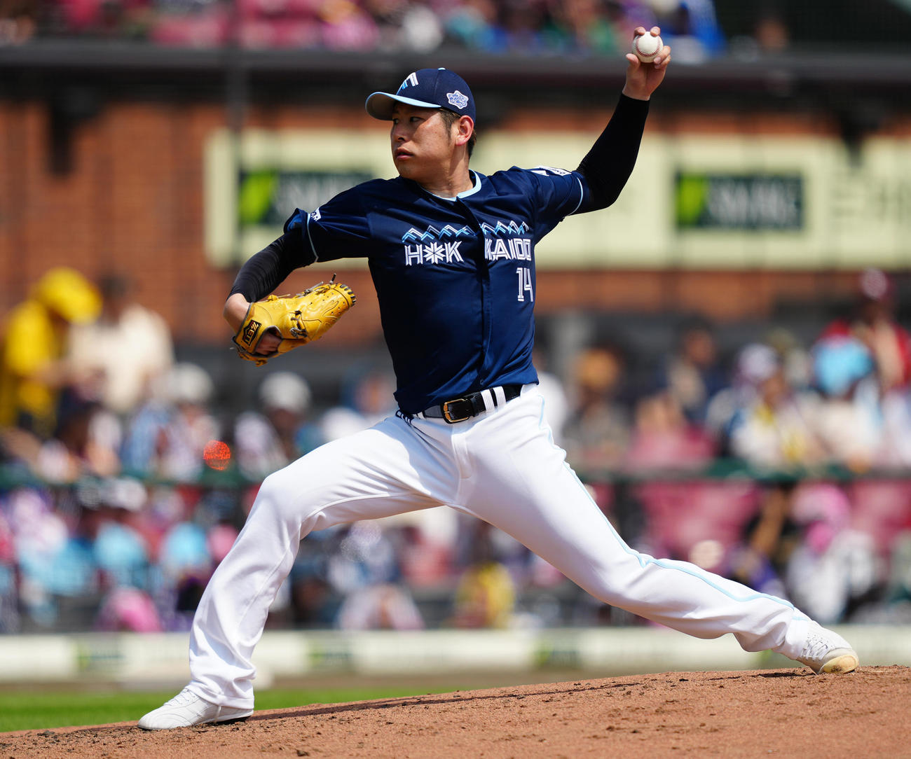 楽天対日本ハム　先発し力投する日本ハム加藤貴（撮影・鈴木みどり）