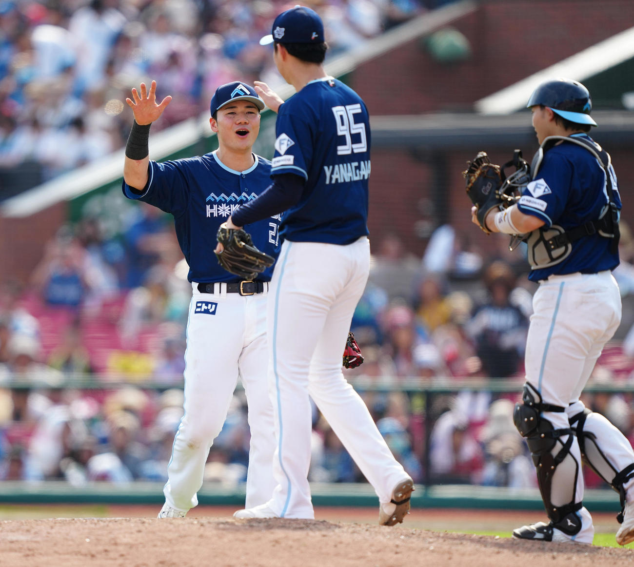 楽天対日本ハム　楽天に勝利し、タッチを交わす清宮幸（左）ら日本ハムナイン（撮影・鈴木みどり）