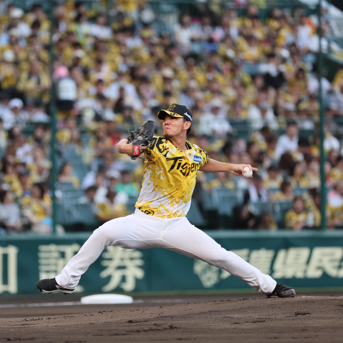 阪神伊藤将司（2025年7月13日撮影）