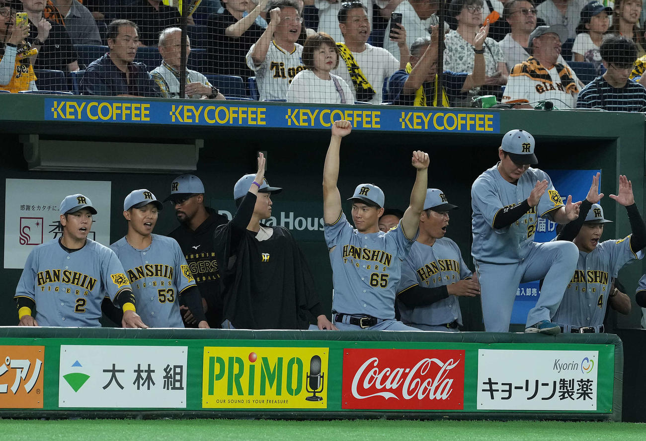 巨人対阪神　巨人に勝利しガッツポーズを決める阪神湯浅（中央）。左は及川（撮影・たえ見朱実）