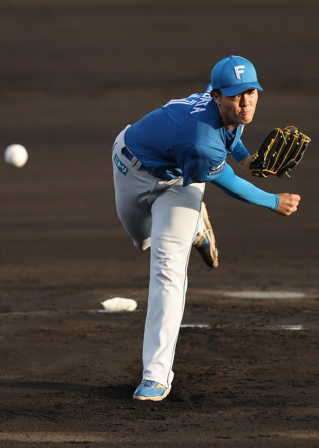 全ウ対全イ　力投する全イ先発の柴田（撮影・前田充）