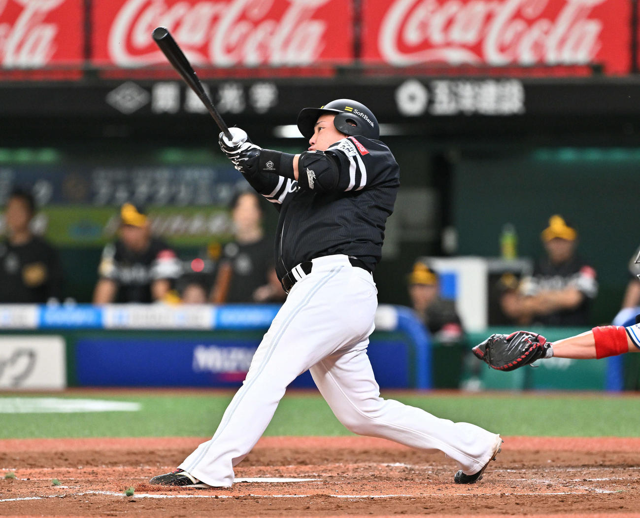 山川は左翼へ適時打を放つ（撮影・滝沢徹郎）