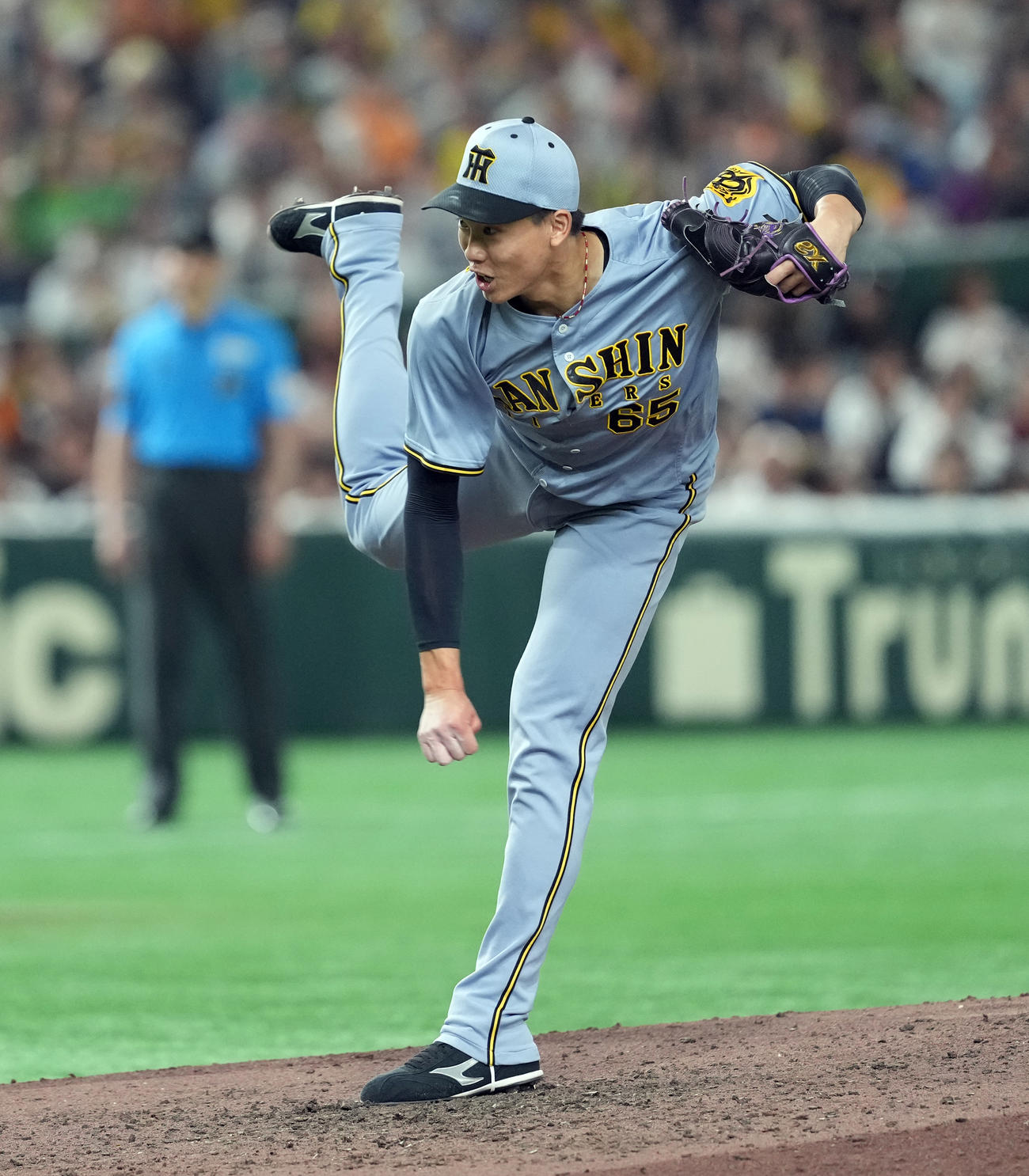 巨人対阪神　5回からマウンドに上がった阪神湯浅（撮影・たえ見朱実）