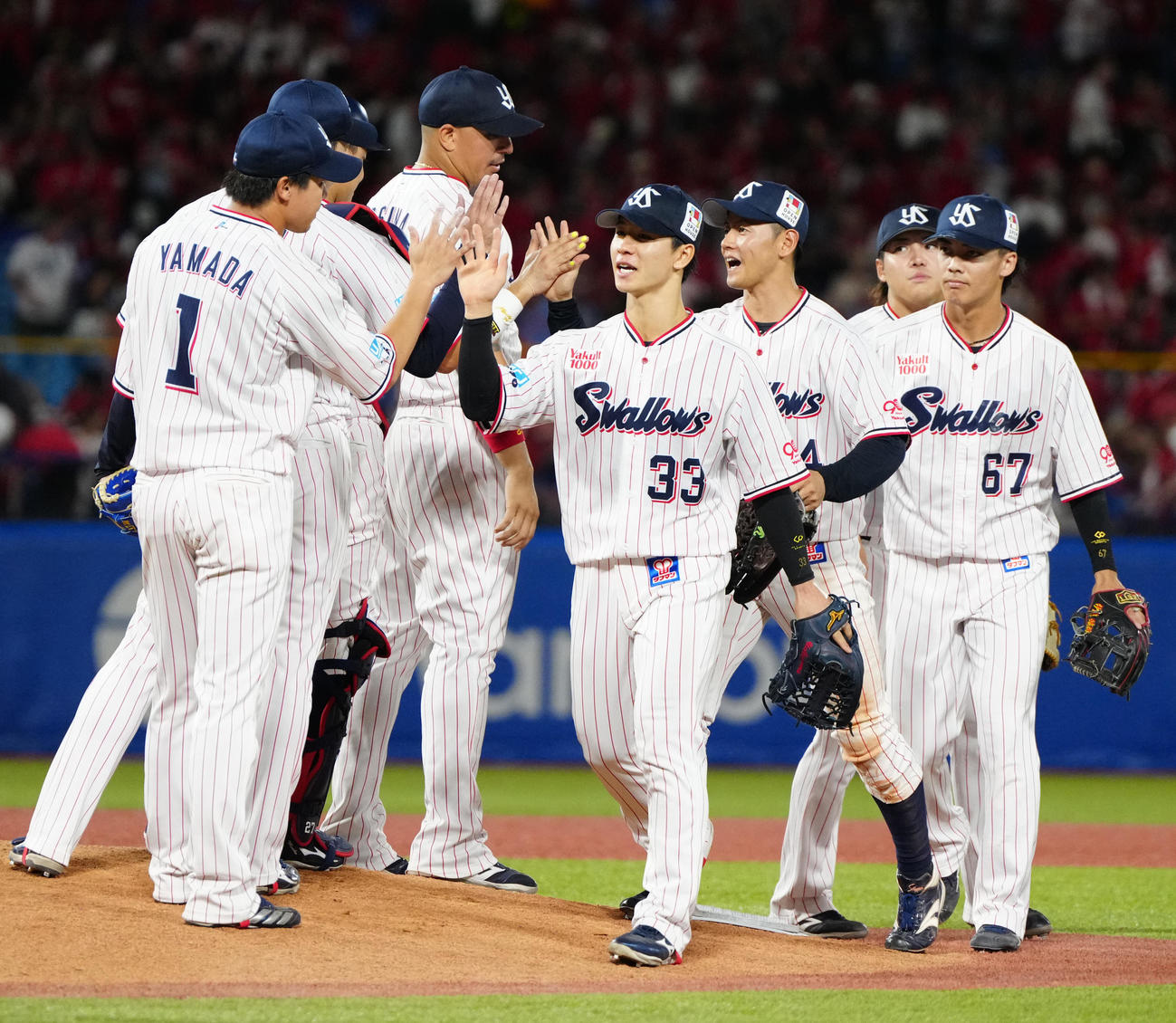 ヤクルト対広島　試合後、勝利のタッチを交わす内山（中央）らヤクルトの選手たち（撮影・江口和貴）