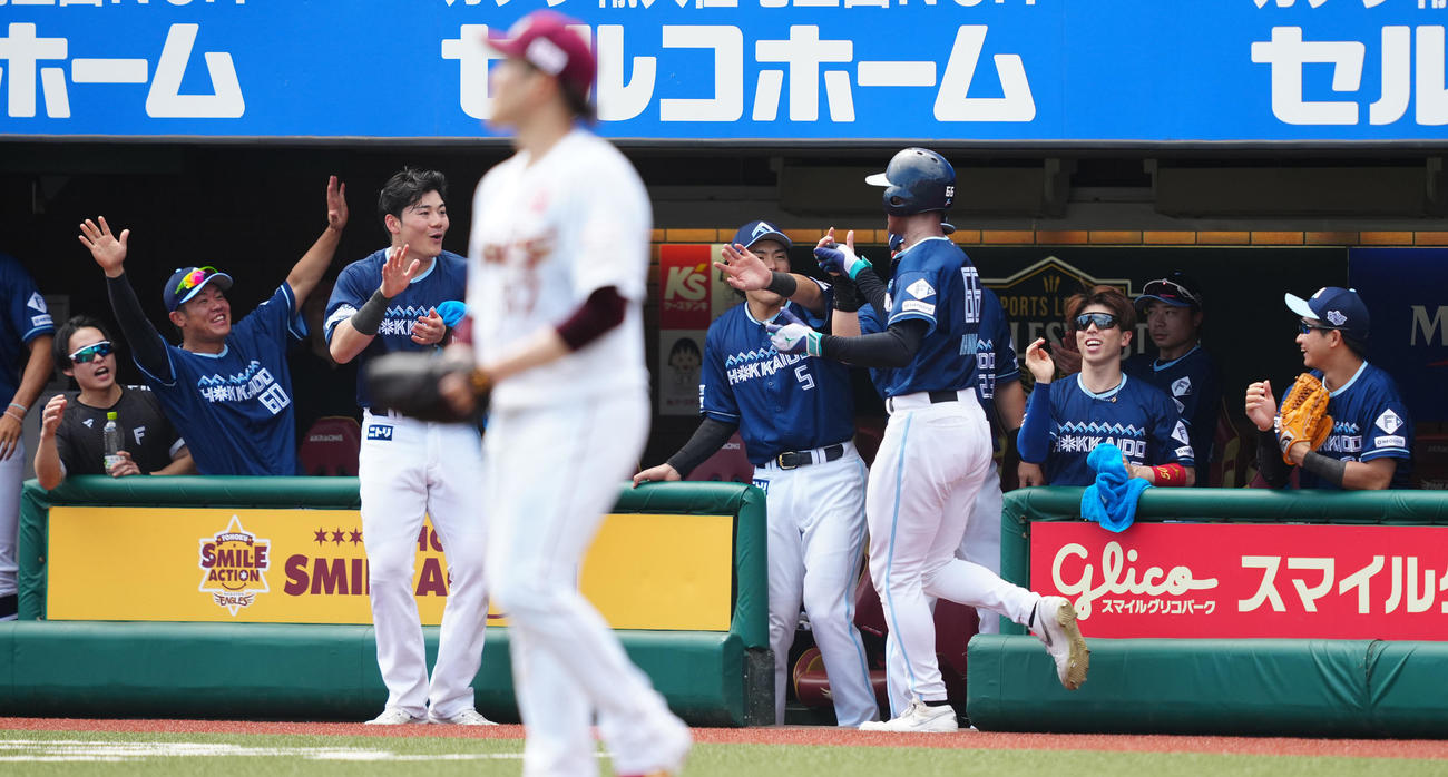 楽天対日本ハム　4回表日本ハム2死二塁、二塁手黒川の後逸で生還した二塁走者万波（右から4人目）を迎えるベンチ（撮影・鈴木みどり）
