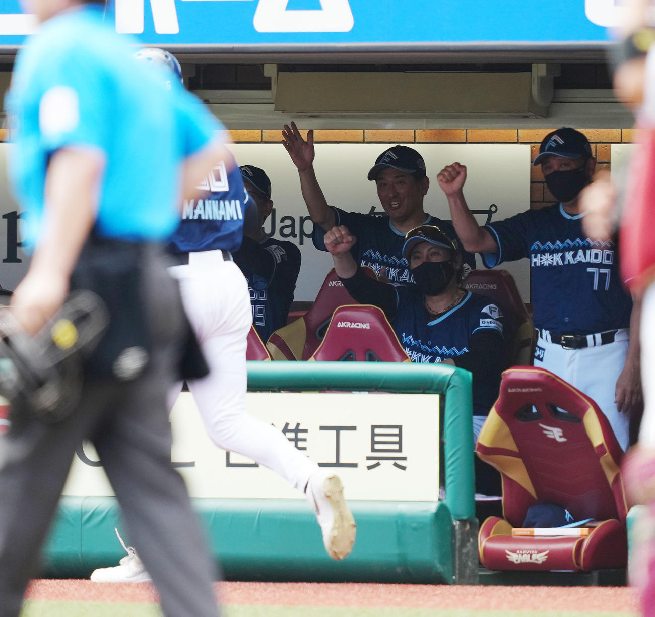 楽天対日本ハム　4回表日本ハム2死二塁、二塁手黒川の後逸で生還した二塁走者万波を迎える新庄監督（右奥から2人目）（撮影・鈴木みどり）