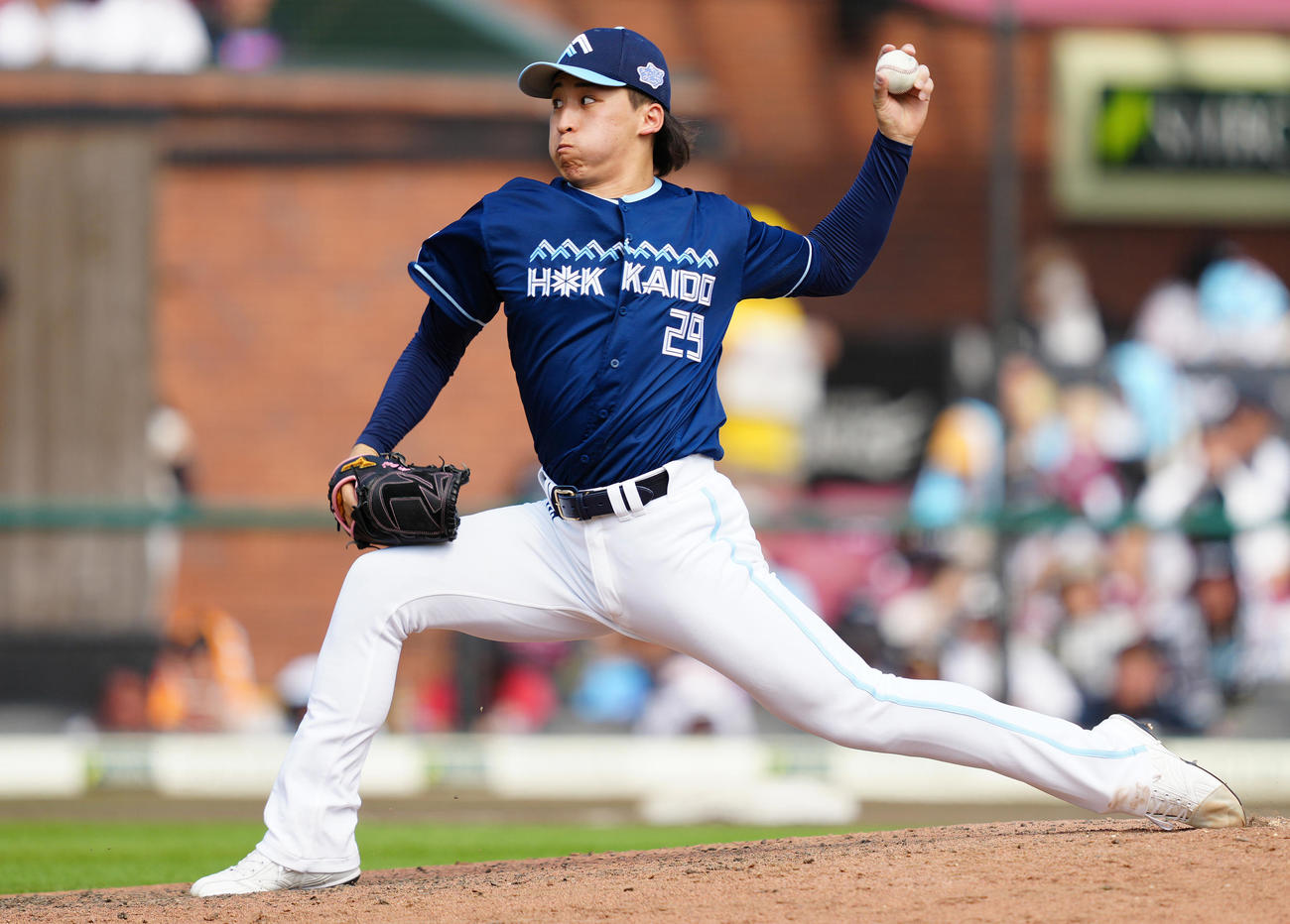 楽天対日本ハム　先発し力投する日本ハム細野（撮影・鈴木みどり）