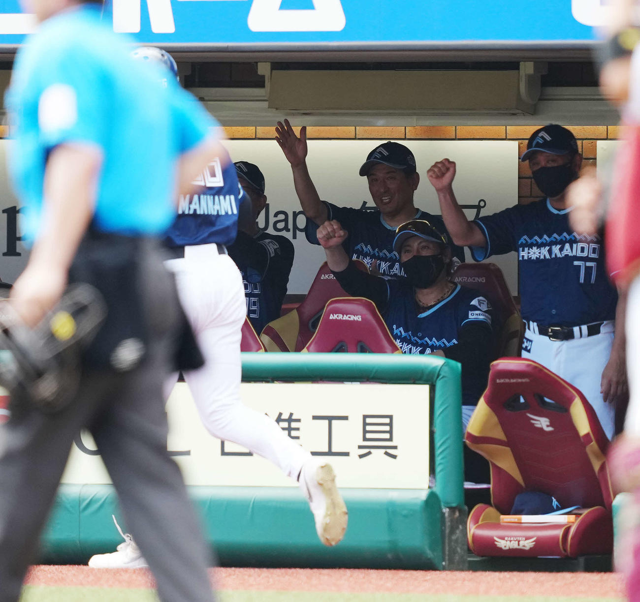 楽天対日本ハム　4回表日本ハム2死二塁、二塁手黒川の後逸で生還した二塁走者万波を迎える新庄監督（右奥から2人目）（撮影・鈴木みどり）