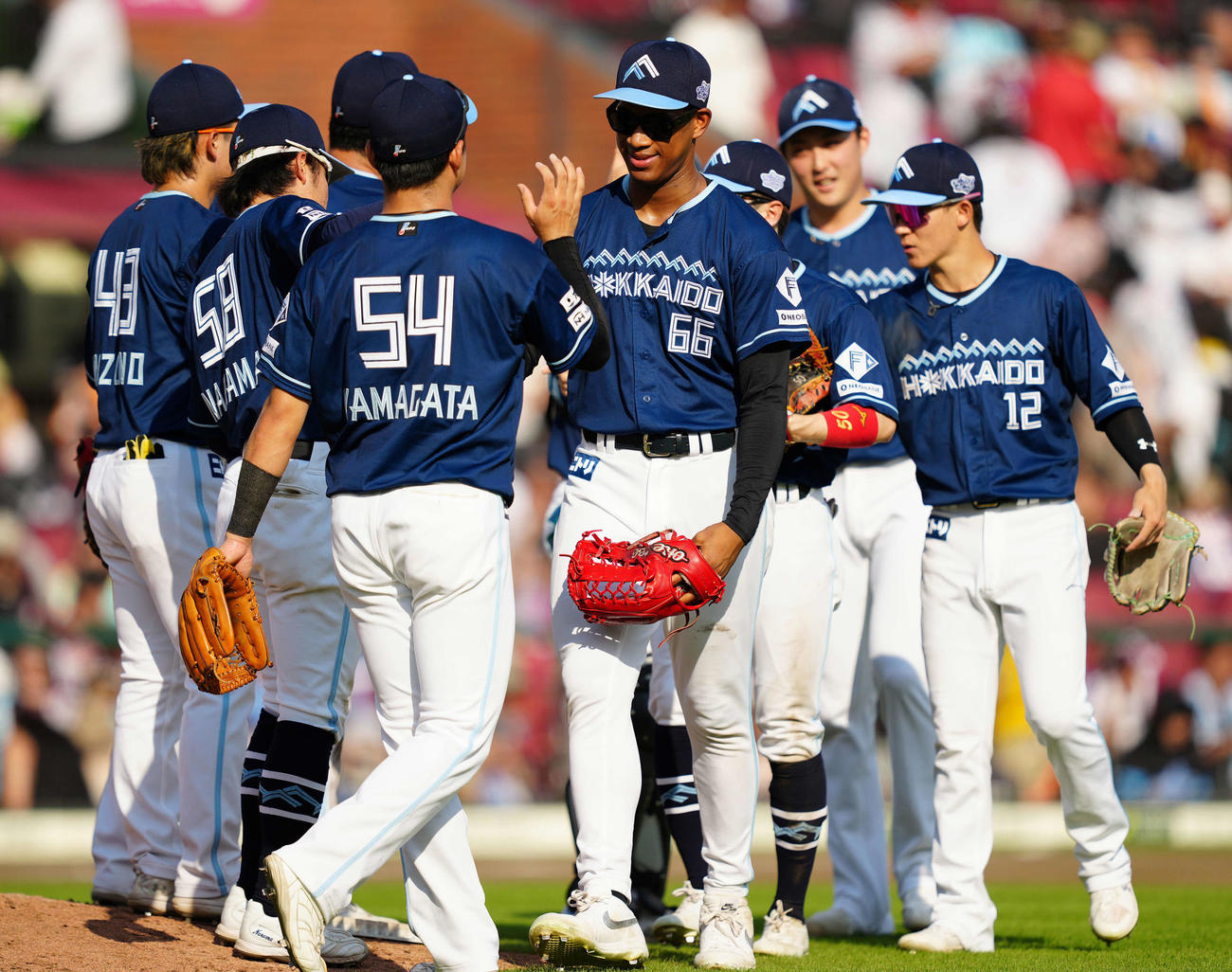 楽天対日本ハム　楽天に3連勝し、タッチを交わす万波（中央）ら日本ハムナイン（撮影・鈴木みどり）