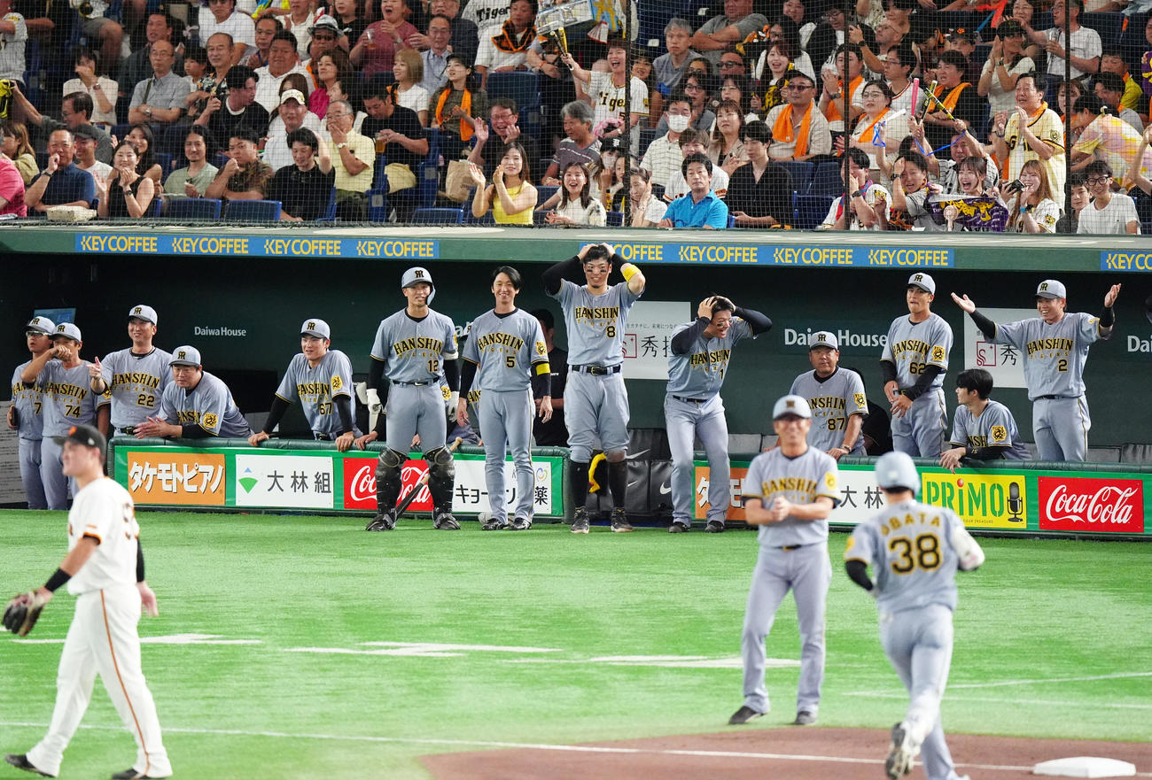 巨人対阪神　3回表阪神1死一塁、2打席連発の右越え2点本塁打を放った小幡（手前右）にベンチの選手も驚きの表情をみせる（撮影・清水貴仁）