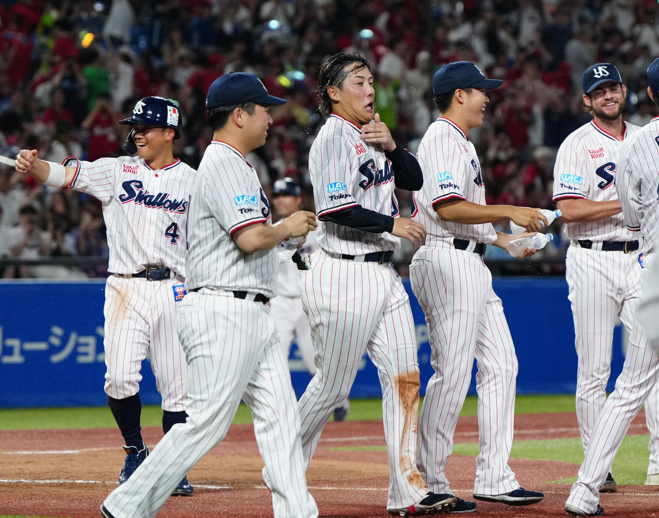 ヤクルト対広島　9回裏ヤクルト2死一、三塁、サヨナラ3点本塁打となりチームメートから祝福される赤羽（中央）（撮影・江口和貴）