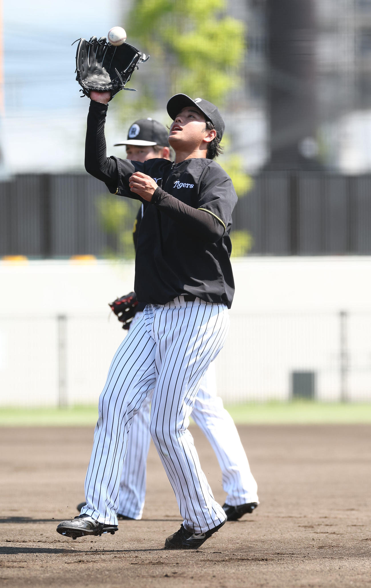 投内連係プレーの練習をする高橋（撮影・上田博志）