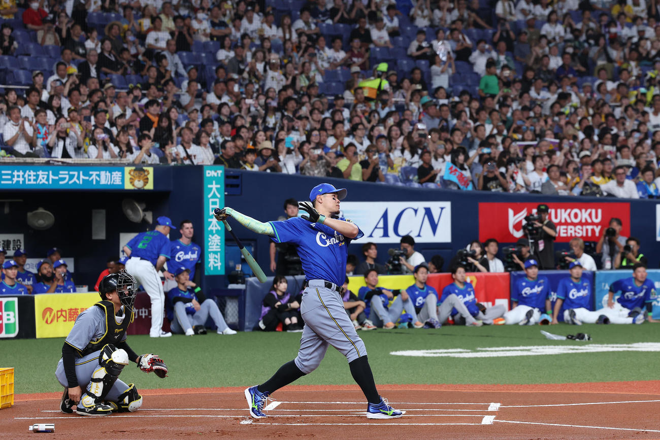 全パ対全セ　ホームランダービーで本塁打を放つ阪神佐藤輝（撮影・前田充）