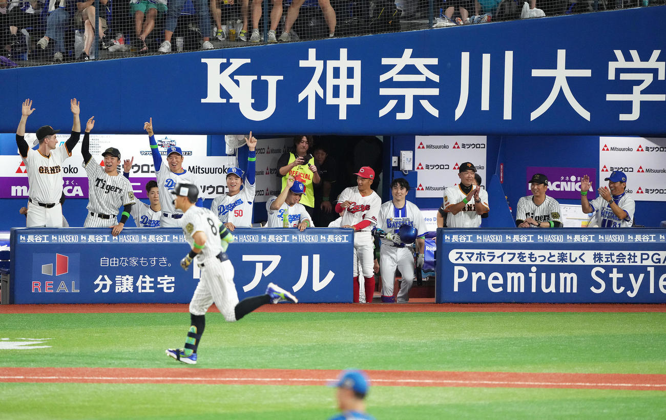 全セ対全パ　5回裏全セ1死、佐藤輝（手前）のソロ本塁打に盛り上がる藤川コーチ（右から2人目）らベンチ（撮影・足立雅史）