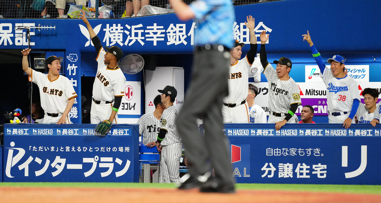 全セ対全パ　5回裏全セ1死、佐藤輝の右越えソロ本塁打に盛り上がるベンチ（撮影・鈴木みどり）
