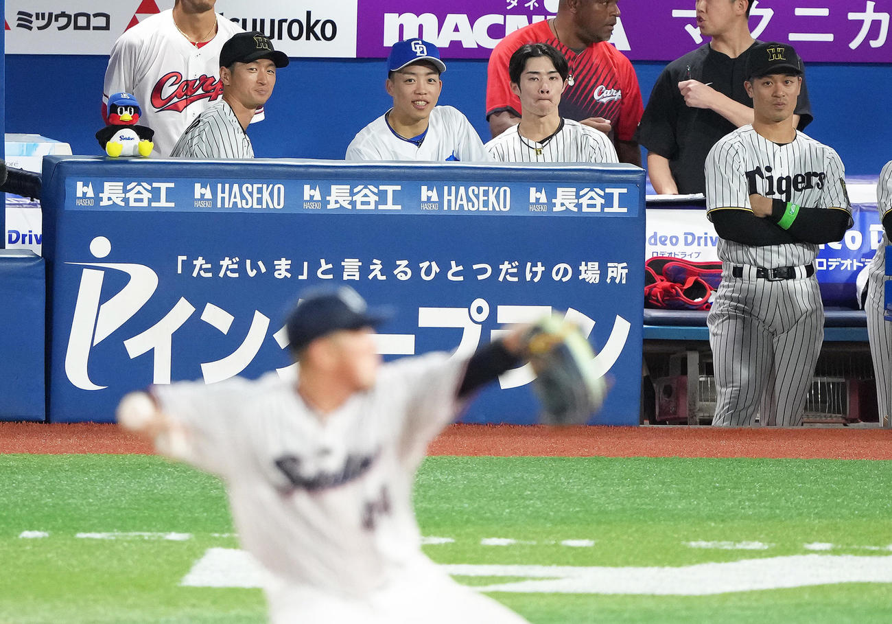 全セ対全パ　全セ大西広樹（手前）のマウンドをベンチから見つめるつば九郎のぬいぐるみ（撮影・足立雅史）