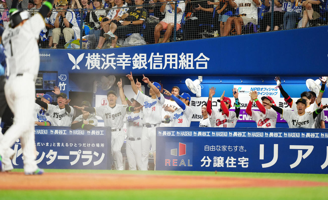 全セ対全パ　7回裏全セ2死二塁、佐野の中前適時打で二塁走者森下が生還し、盛り上がるベンチ（撮影・鈴木みどり）