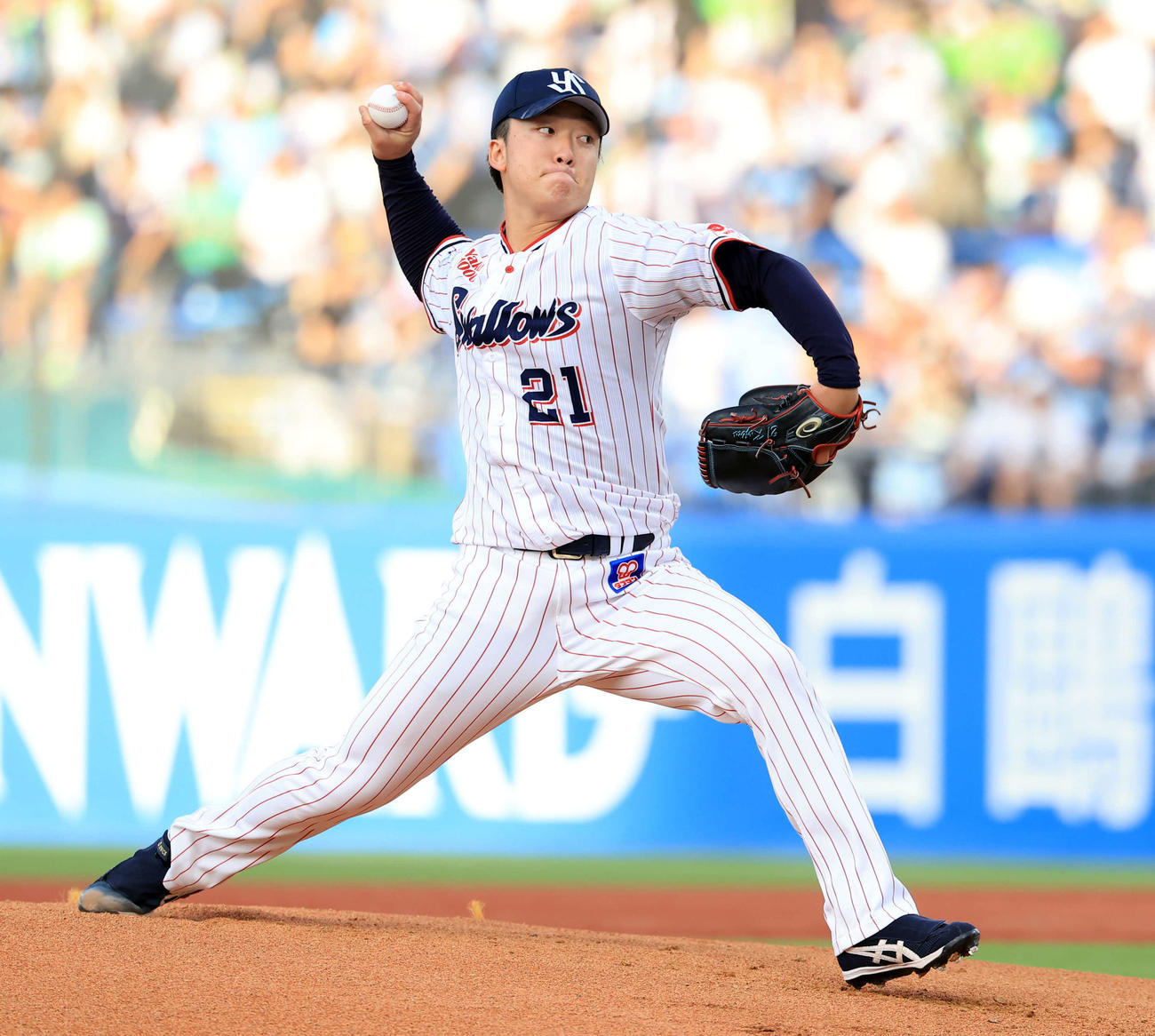 ヤクルト吉村貢司郎（2025年7月17日撮影）