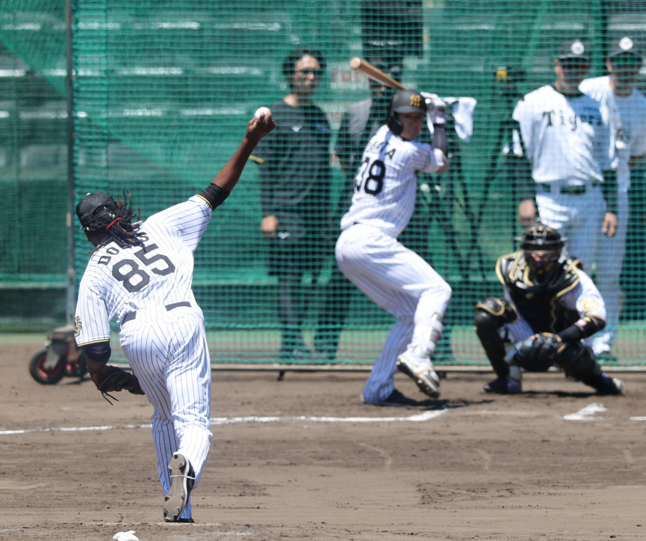 シート打撃で阪神小幡と対戦するドリス（撮影・西尾就之）