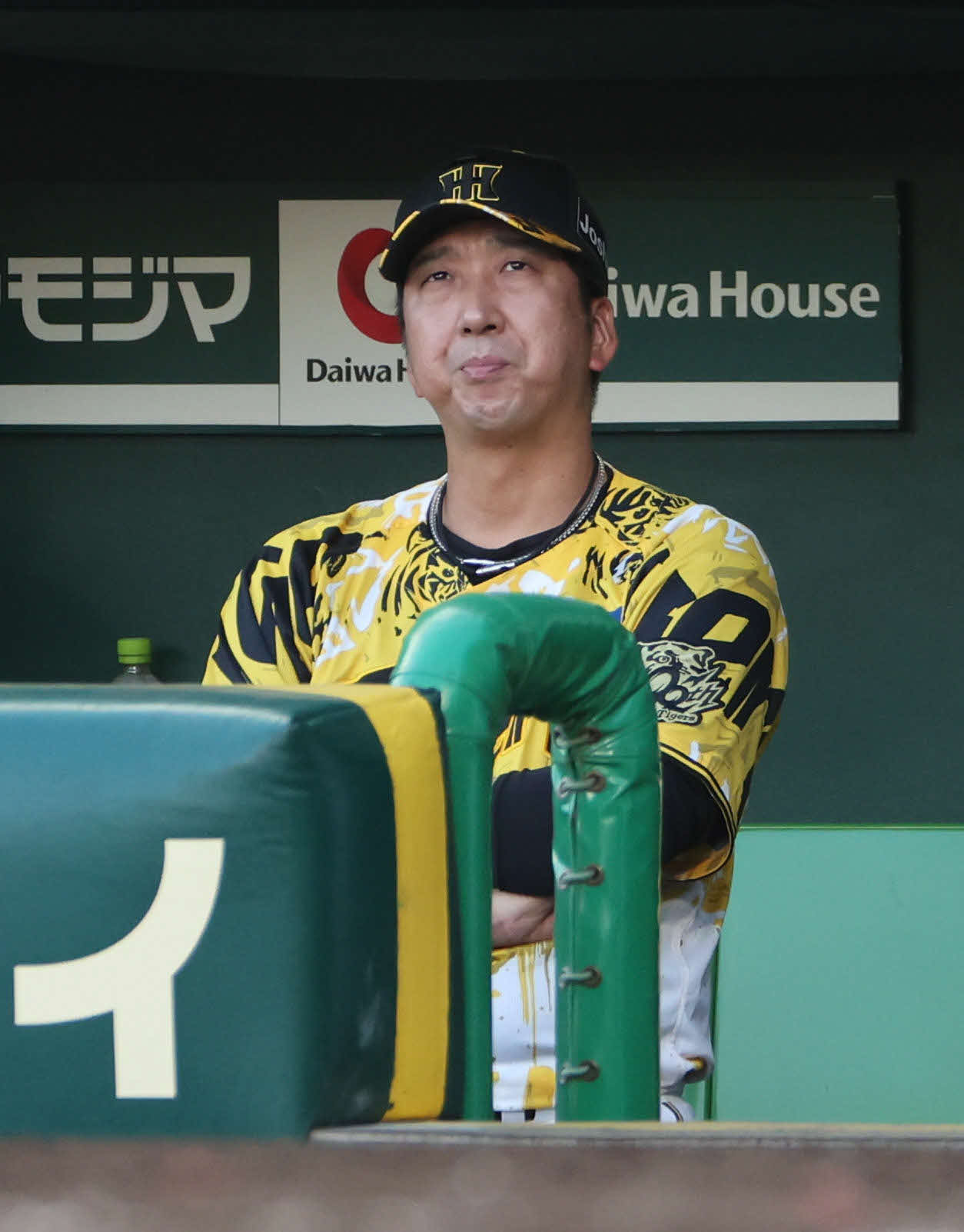 阪神藤川球児監督（2025年7月12日撮影）