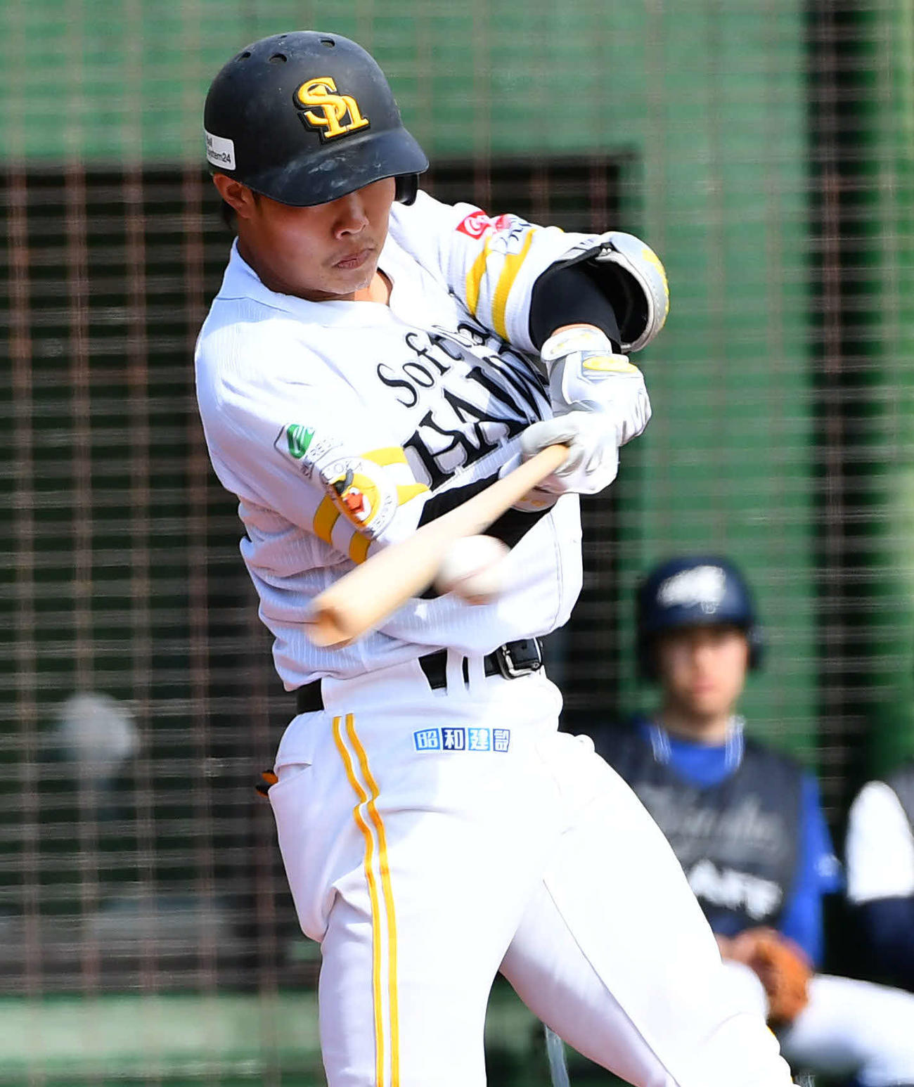 ソフトバンク井上朋也（2025年3月11日撮影）