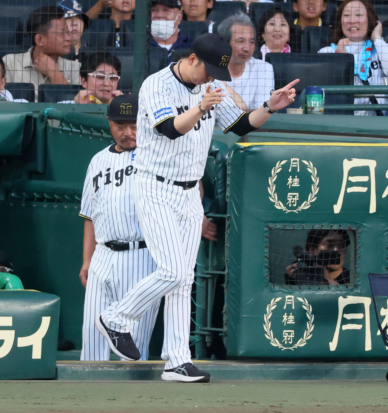 阪神対DeNA 3回裏阪神1死一、二塁、佐藤輝の一塁判定にリクエストする藤川監督（撮影・加藤哉）