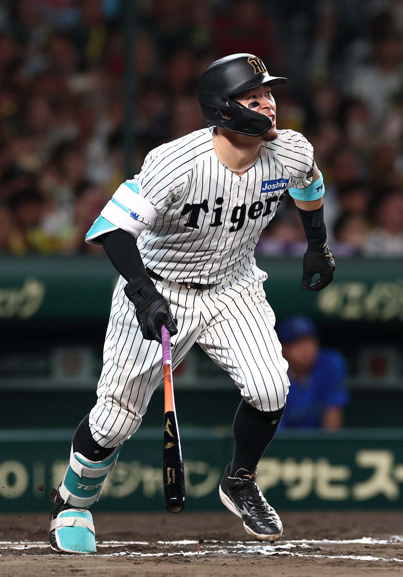 阪神対DeNA 6回裏阪神1死、佐藤輝は右越えソロ本塁打を放つ（撮影・上田博志）