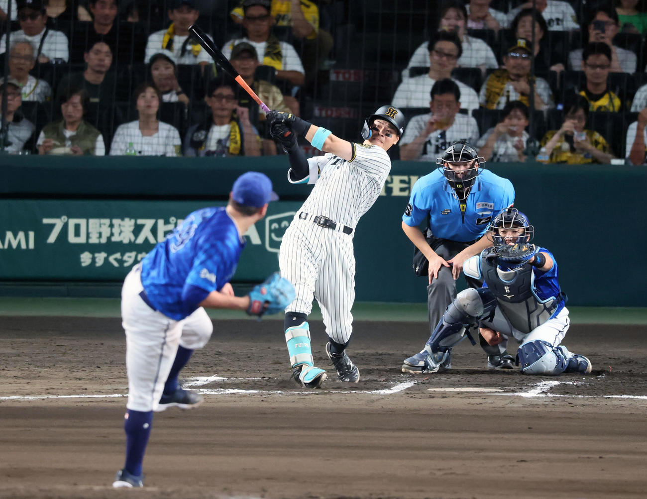阪神対DeNA 6回裏阪神1死、佐藤輝は右越えソロ本塁打を放つ。投手ケイ（撮影・加藤哉）
